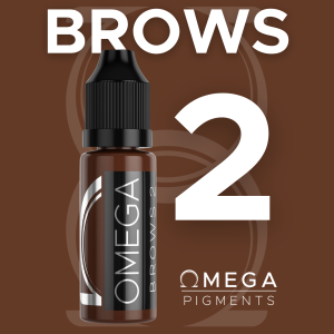 Brows 2 pigmento micropigmentación de cejas